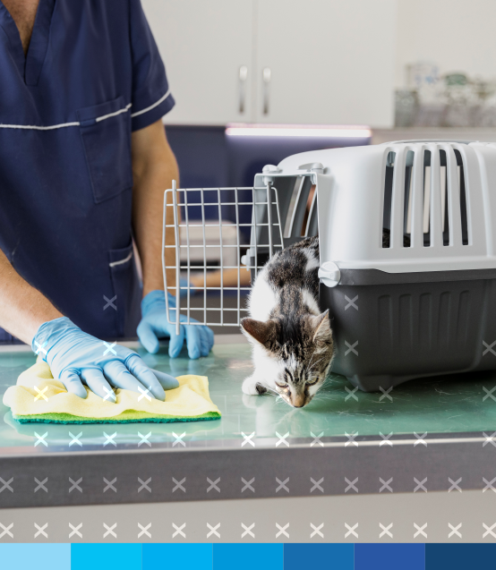 cursos_presenciais_21_limpeza_ambientes_veterinarios.png