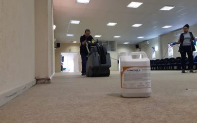 Limpeza de Carpetes: a importância do trabalho na prevenção das alergias