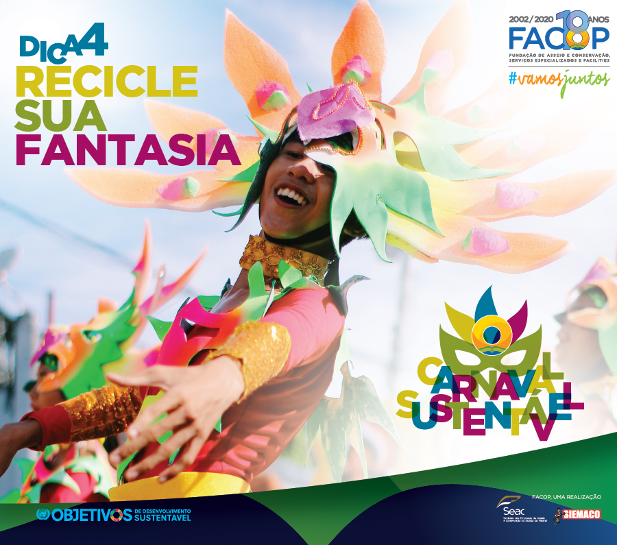 Carnaval Sustentável Facop - fantasia